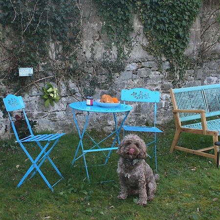 The Luxury Dartmoor Den, Dartmoor, Devon Apartment แอชเบอร์ตัน ภายนอก รูปภาพ